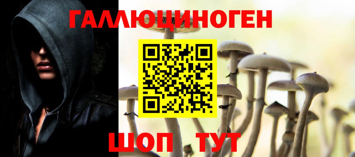 Псилоцибиновые грибы прущие грибы Кинель