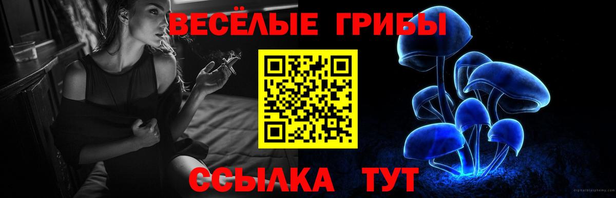 Кинель  Галлюциногенные грибы мухоморы  Галлюциногенные грибы мицелий  Вход с VPN 